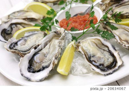 生牡蠣 20634067