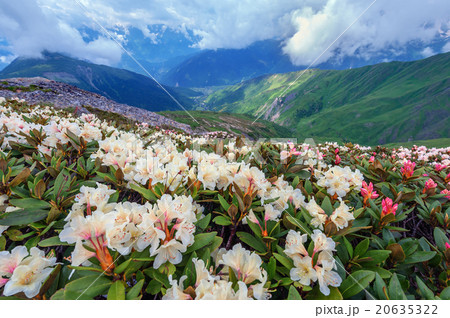 mountain 20635322
