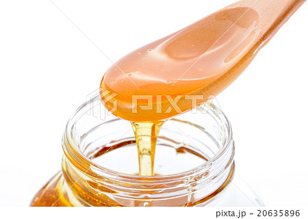 はちみつ はちみつ 20635896