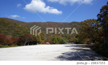 伊良谷山，牛曳山の紅葉 20637355