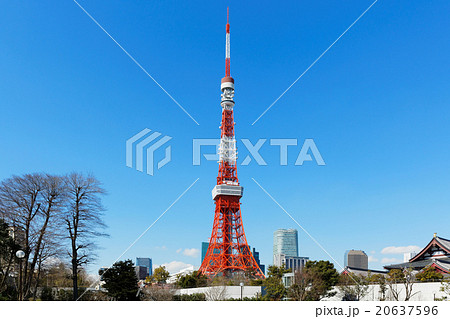 東京タワーと青い空 東京タワーと青い空 20637596