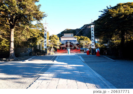 早朝の鶴岡八幡宮の景色 早朝の鶴岡八幡宮の景色 20637771