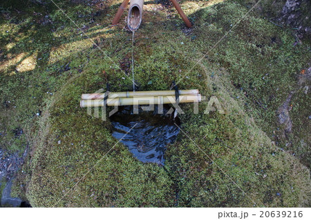 水琴窟 苔庭 水琴窟 苔庭 20639216