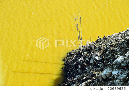 安濃ダム 20639626