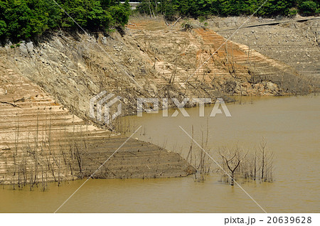 安濃ダム 20639628