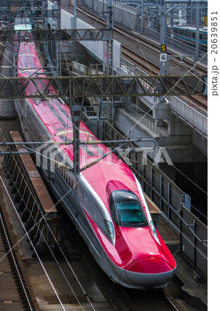 JR東日本　E6系　東北新幹線　スーパーこまち 20639851