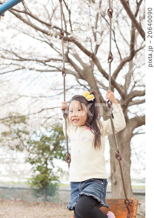 cherry blossom 5 years old cherry blossom 5 years old 20640090