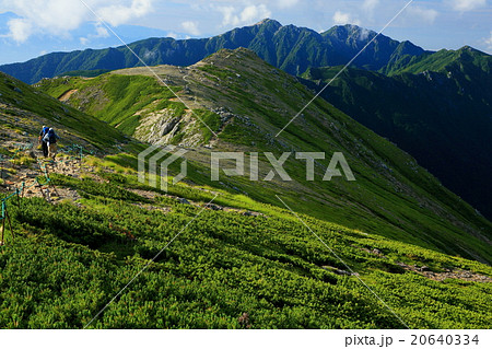 中央アルプス・宝剣岳付近の稜線から空木岳方面 20640334