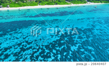 Shoreline of a tropical island in the Maldives 20640407