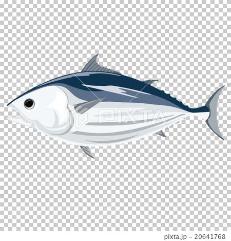 鰹魚的例證 鰹魚的例證 20641768