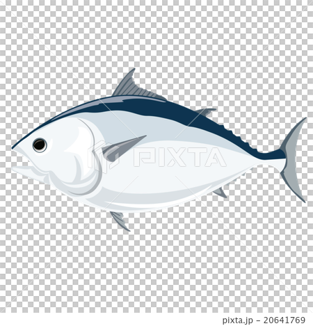 金槍魚圖 20641769