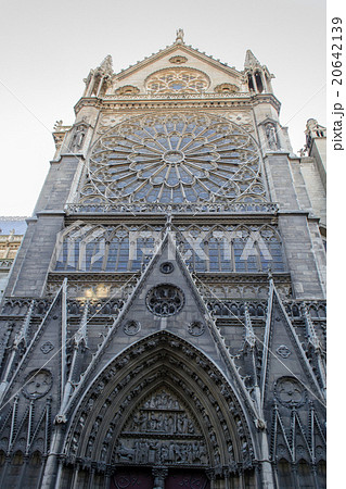 ノートルダム大聖堂 ノートルダム大聖堂 20642139