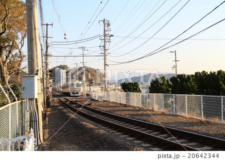 梅津寺公園から見た線路と電車 20642344