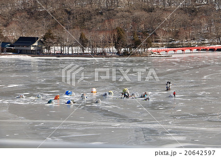 赤城大沼でワカサギ釣りをする人々（群馬県赤城山） 20642597