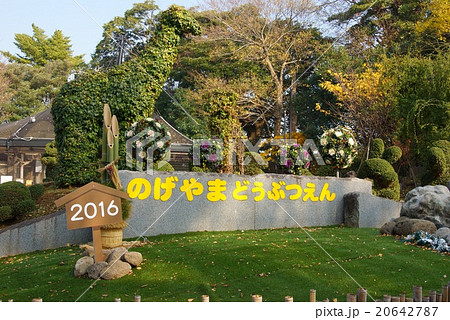 野毛山動物園 20642787