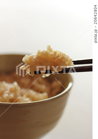 玄米ご飯 玄米ご飯 20642804