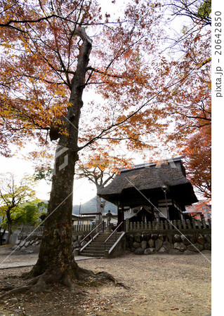 加茂神社 加茂神社 20642850