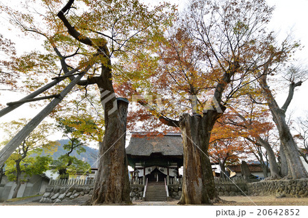 加茂神社 加茂神社 20642852