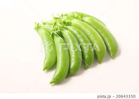 スナップエンドウ スナップエンドウ 20643350