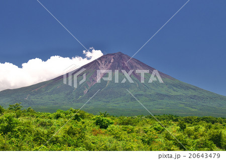夏の富士山 夏の富士山 20643479