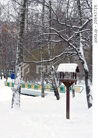 Birds' house and bidge in winter 20643726