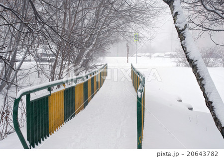 Path with railings in winter 20643782