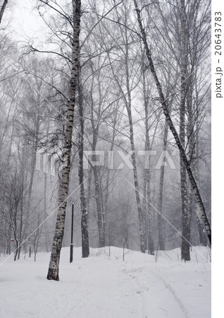 Path covered with snow Path covered with snow 20643783