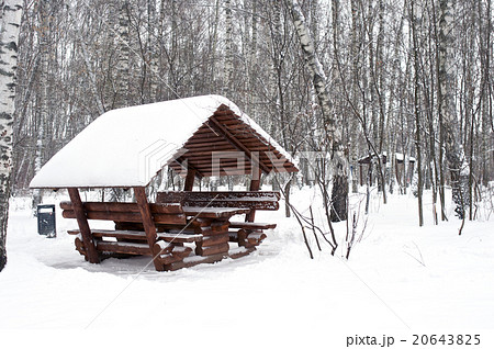 Arbor covered with snow horizontal Arbor covered with snow horizontal 20643825