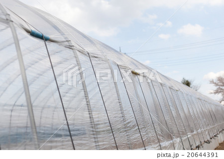 farm 20644391