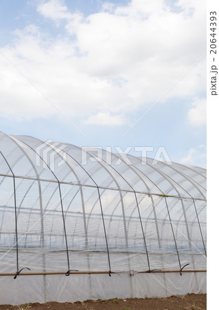 farm farm 20644393
