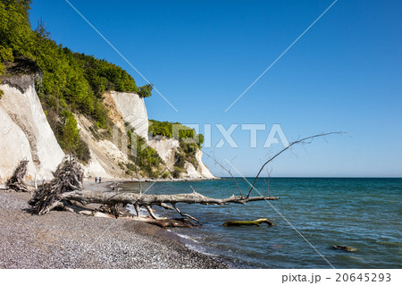 Chalk cliff Chalk cliff 20645293