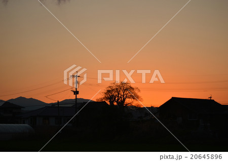 夕日 20645896