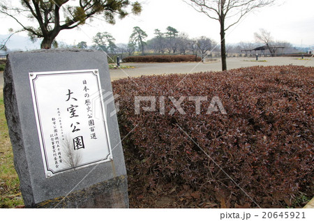 大室公園 20645921