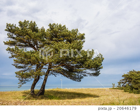 Baltic Sea 20646179