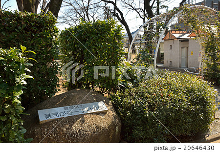雑司ケ谷散歩：雑司ケ谷一丁目公園 20646430