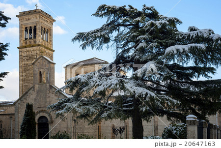 large pine tree near church after a heavy snowfall large pine tree near church after a heavy snowfall 20647163