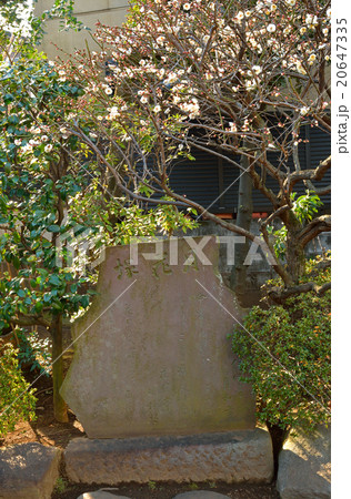 雑司ケ谷散歩:句碑「月花塚」 日蓮宗本納寺 雑司ケ谷散歩:句碑「月花塚」 日蓮宗本納寺 20647335