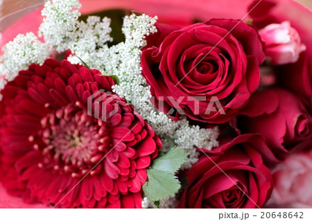 赤いバラとガーベラの花束　フラワーギフト 20648642