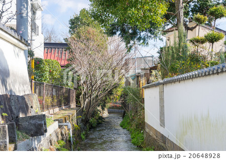三島市街を流れる小川 20648928