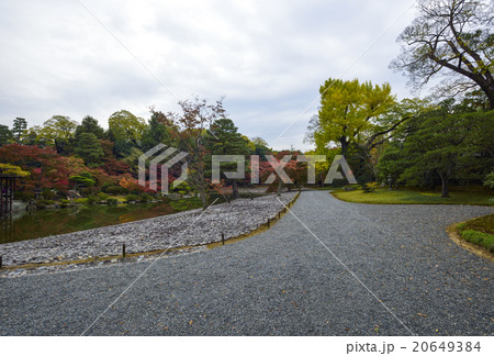 仙洞御所　南池 20649384