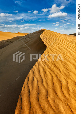 Dunes in Thar Desert 20650234