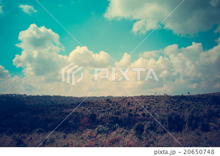 Horizon with mountains Horizon with mountains 20650748