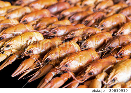 Many crawfishes Many crawfishes 20650959