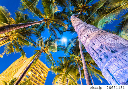 ハワイ ホノルル 満月とヤシの木の写真素材