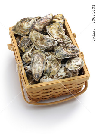 生牡蠣 生牡蠣 20651601