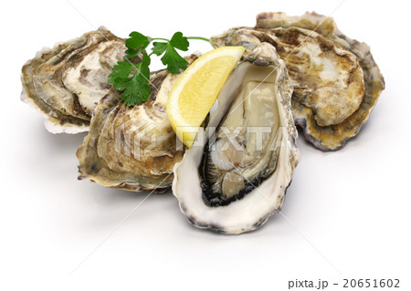 生牡蠣 20651602