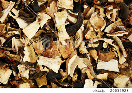 top view of mixed dried mushrooms 20652923