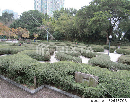 香港 九龍公園 香港 九龍公園 20653708
