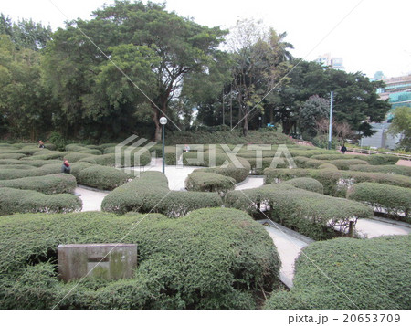 香港　九龍公園 20653709