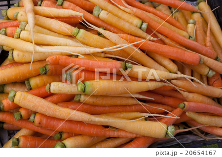 farm farm 20654167